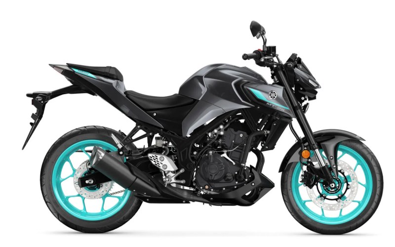 Yamaha MT-25